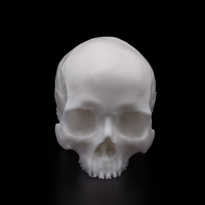 A Pound of Flesh - Yorick Skull