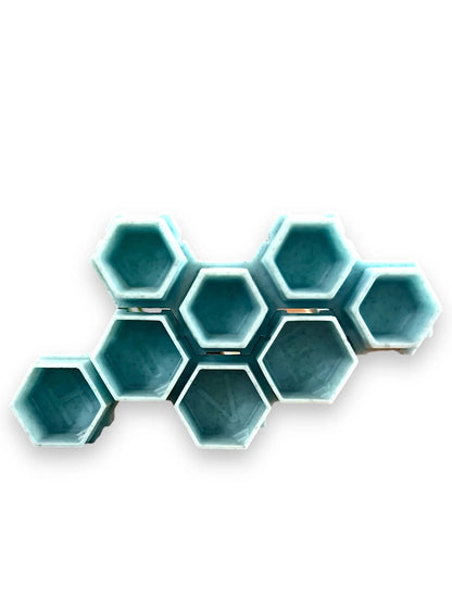 Hive Caps Eco